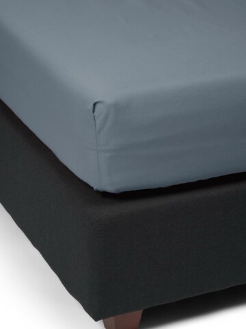 ESSENZA Bed Sheet in Blue