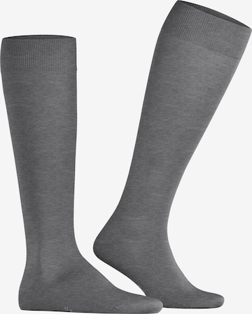 FALKE Kniestrümpfe 'ClimaWool' in Grau: Vorderseite