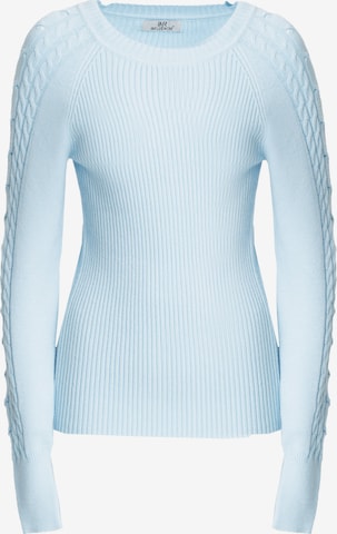 zils Influencer Džemperis: no priekšpuses