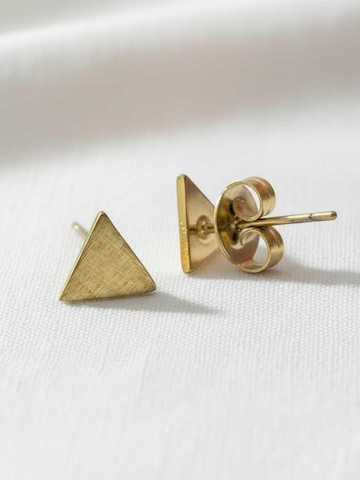 Sergio Engel Earrings in Gold: front