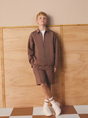 Next Sweatjacka i brun