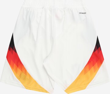 ADIDAS PERFORMANCE Regular Sports trousers 'DFB 24' in White