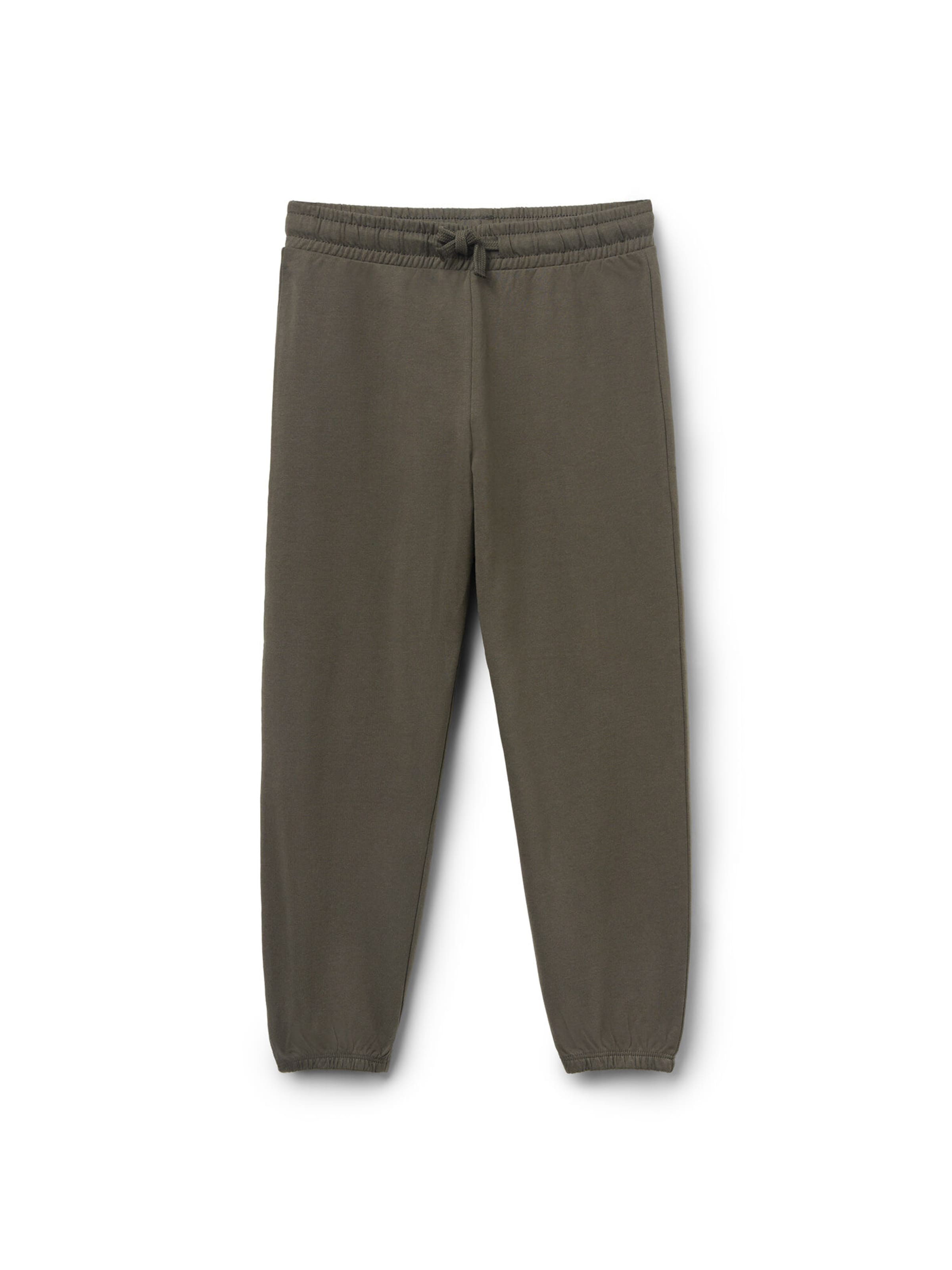 Tezenis Pants in Green: front