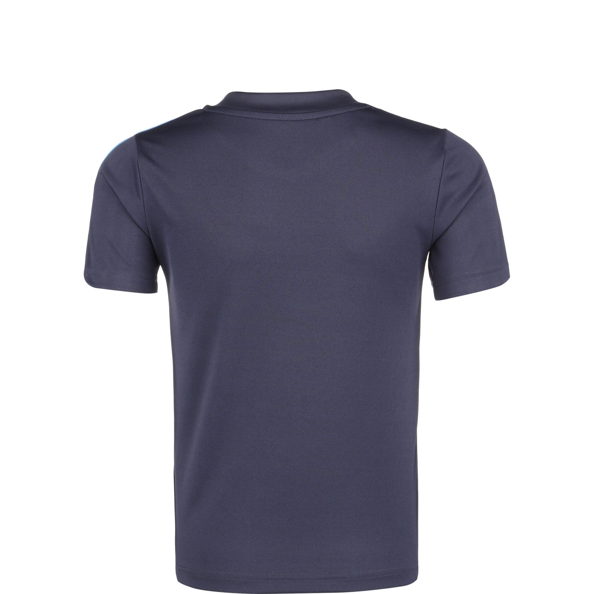 ADIDAS PERFORMANCE Performance Shirt 'Tiro Essentials' in Blue