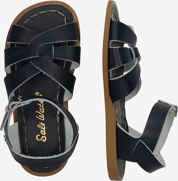 Chaussures ouvertes Salt-Water Sandals en bleu