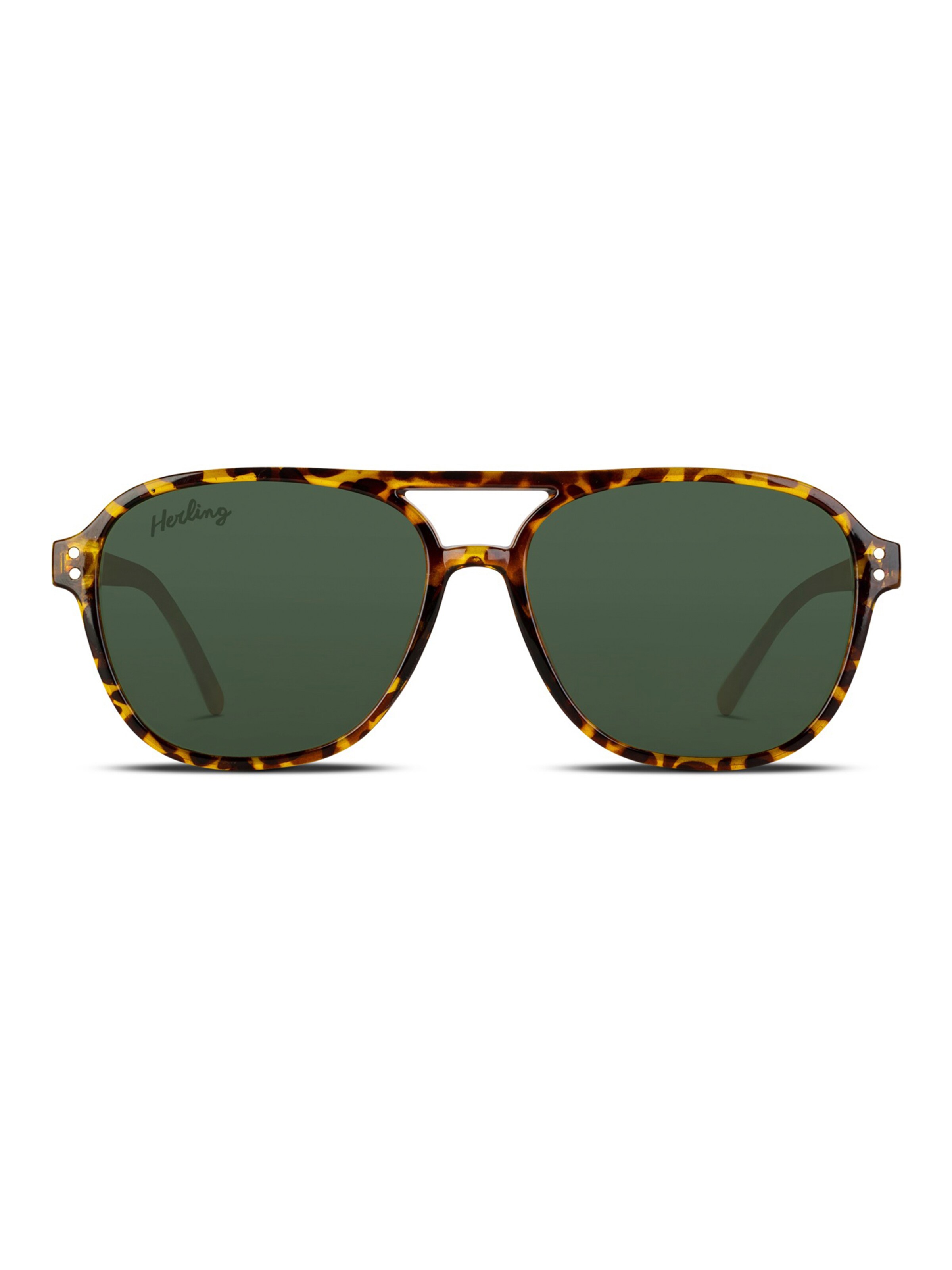 Herling Sunglasses 'Thorne Sun' in Brown