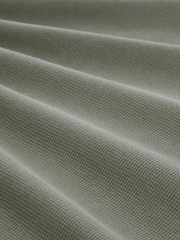TOM TAILOR Shirt in Green