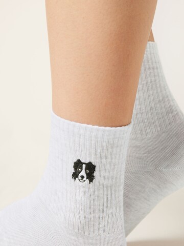 CALZEDONIA Socks 'Dog' in Grey