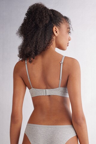 INTIMISSIMI Triangel BH 'Tiziana' in Grau