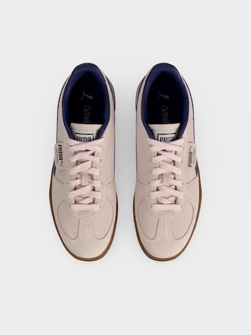 Baskets basses 'Palermo' PUMA en rose