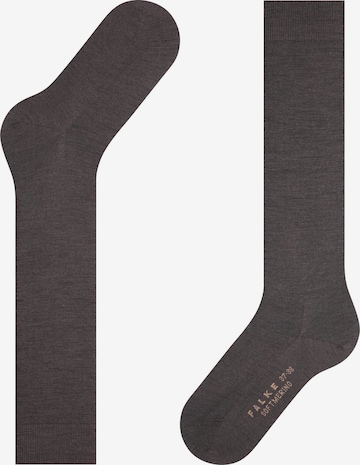 FALKE Knee High Socks 'Softmerino' in Brown: front