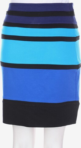 Express Skirt in XS in Blue