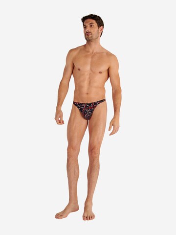 Slip ' British Malcolm ' HOM en mélange de couleurs