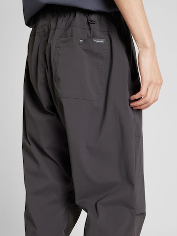 Regular Pantalon outdoor 'Landroamer' COLUMBIA en gris