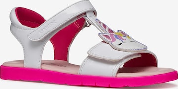 GEOX Sandale in Pink: Vorderseite