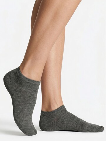 footstar Ankle Socks 'EVERYDAY!' in Grey