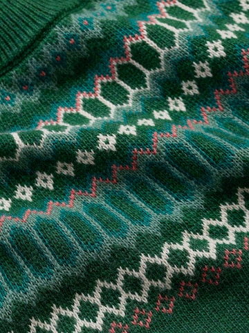 Seasalt Cornwall Mekko 'Bird Ring' värissä vihreä