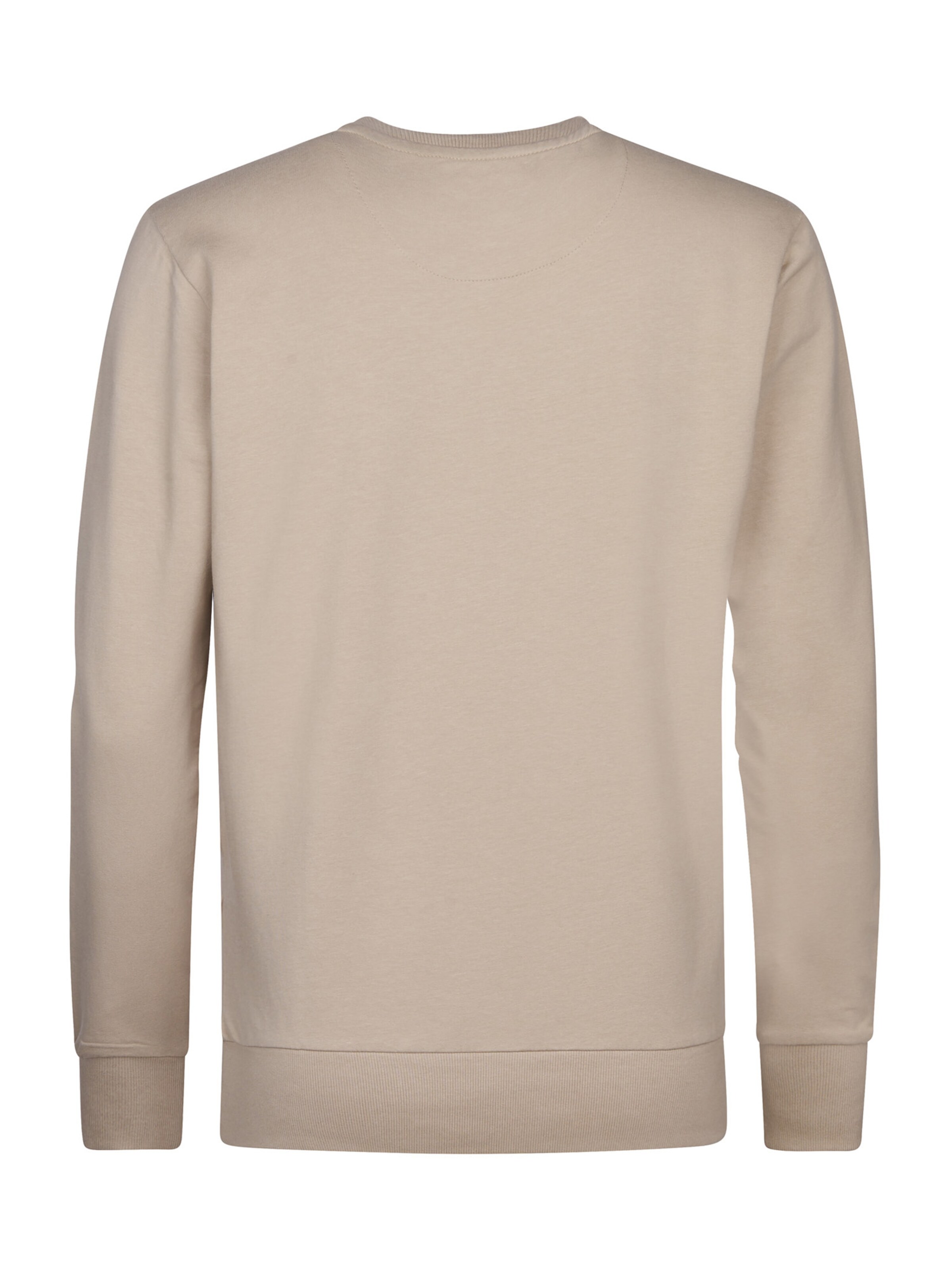 Petrol Industries Sweatshirt 'Seaviewpark' i brun