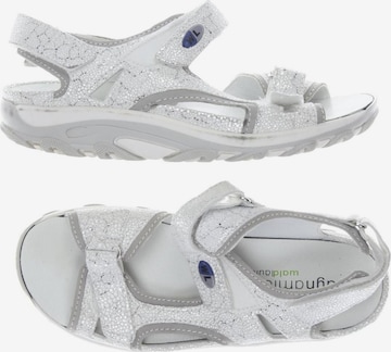 WALDLÄUFER Sandals & High-Heeled Sandals in 36 in White: front