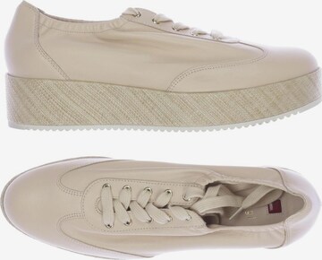 Högl Sneaker 40,5 in Beige: predná strana