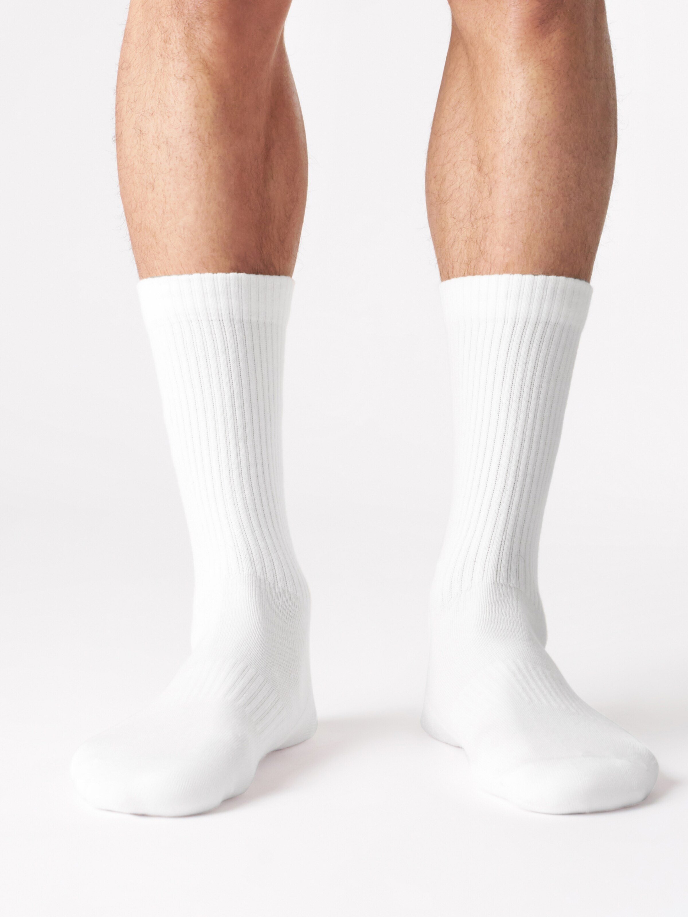 Von Jungfeld Socks 'CASUAL CLASSIC' in White: front