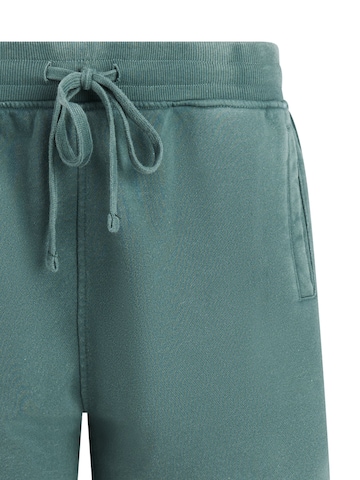 PROTEST Regular Trousers 'PRTOrby' in Green