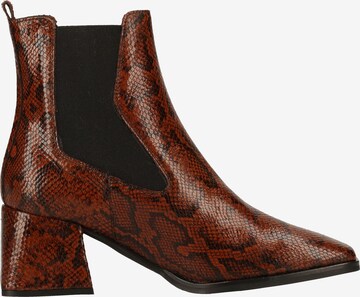 Wonders Chelsea Boots in Brown