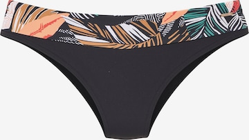 juoda SUNSEEKER Bikinio kelnaitės: priekis