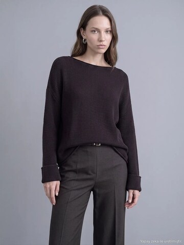 Dilvin - Pullover 'Pullover' em castanho