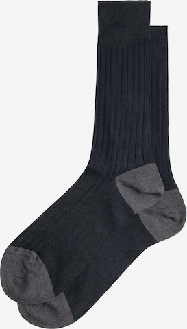 Hackett London Socken in Blau: Vorderseite