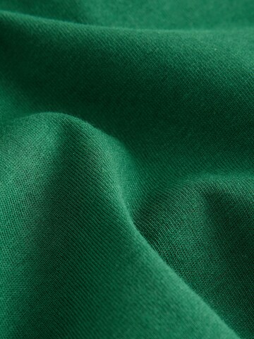 Next Shirt in Grün