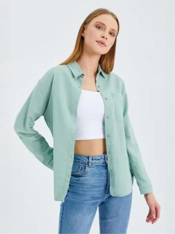 Chemisier MixRay en vert