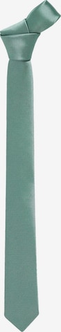 Accessoire de costume Next en vert : devant
