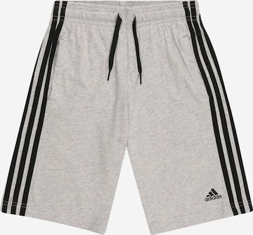ADIDAS SPORTSWEAR Sportovní kalhoty – šedá: přední strana