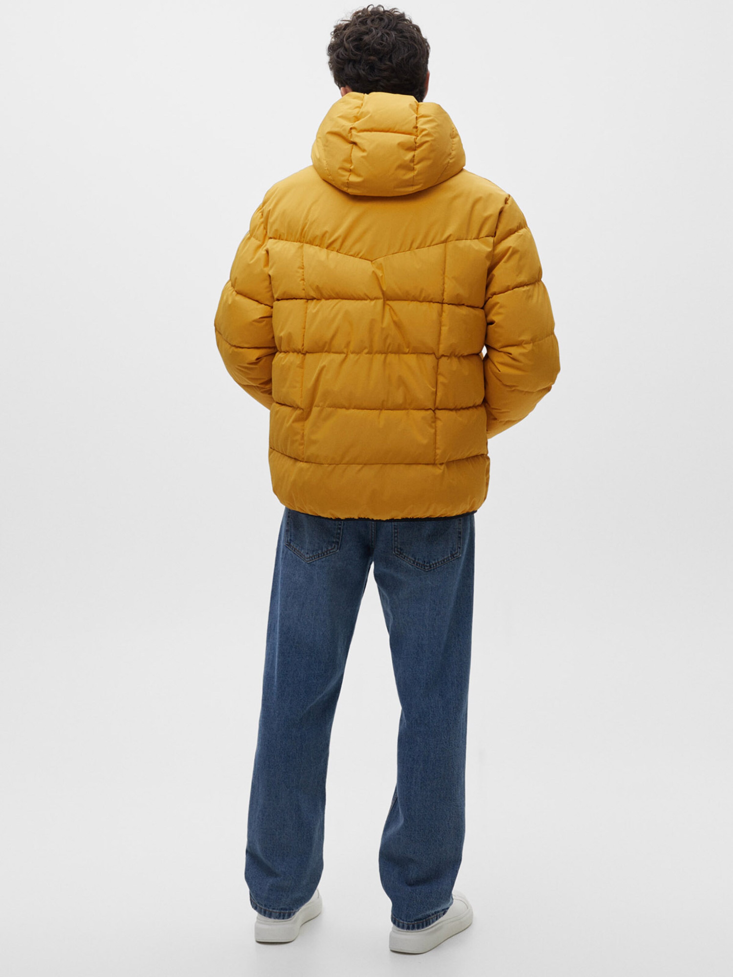 Pull Bear Winter Jacket in Honey ABOUT YOU