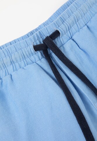 Gulliver Regular Pants in Blue