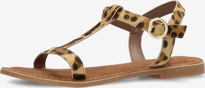 MEXX Strap sandal 'GABIANO' in Beige / Brown / Black, Item view