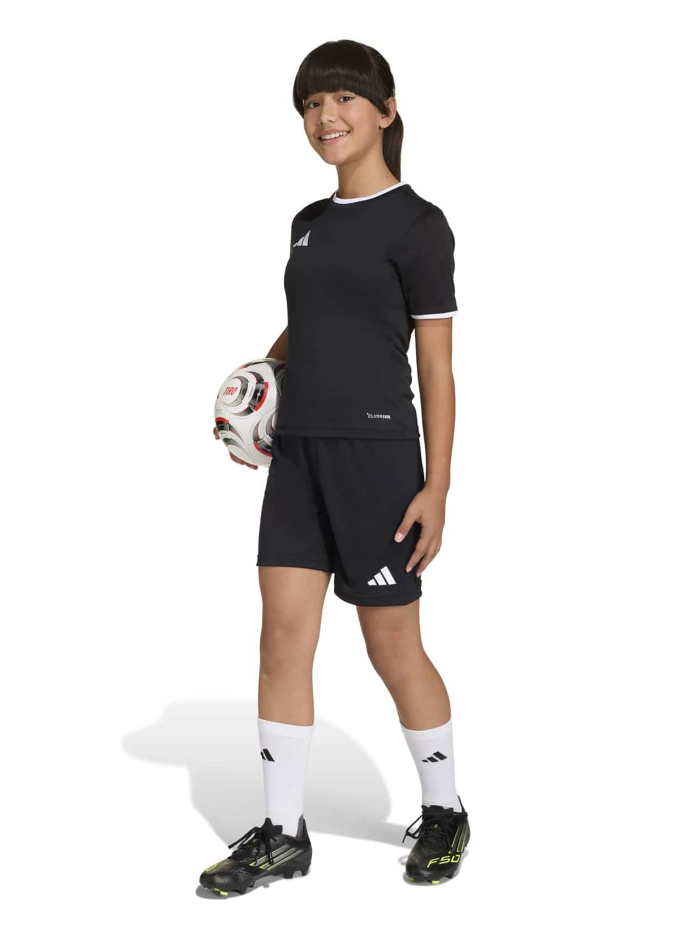 ADIDAS PERFORMANCE Regularen Športne hlače 'ENT26' | črna barva