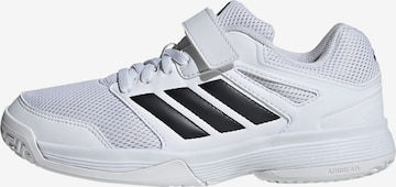 ADIDAS PERFORMANCE - Calzado deportivo en blanco: frente
