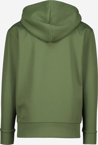 Raizzed - Sweatshirt 'Ferida' em verde