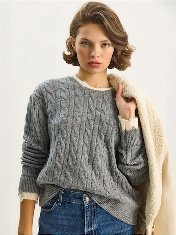 Pull-over 'Pullover' Bianco Lucci en gris : devant