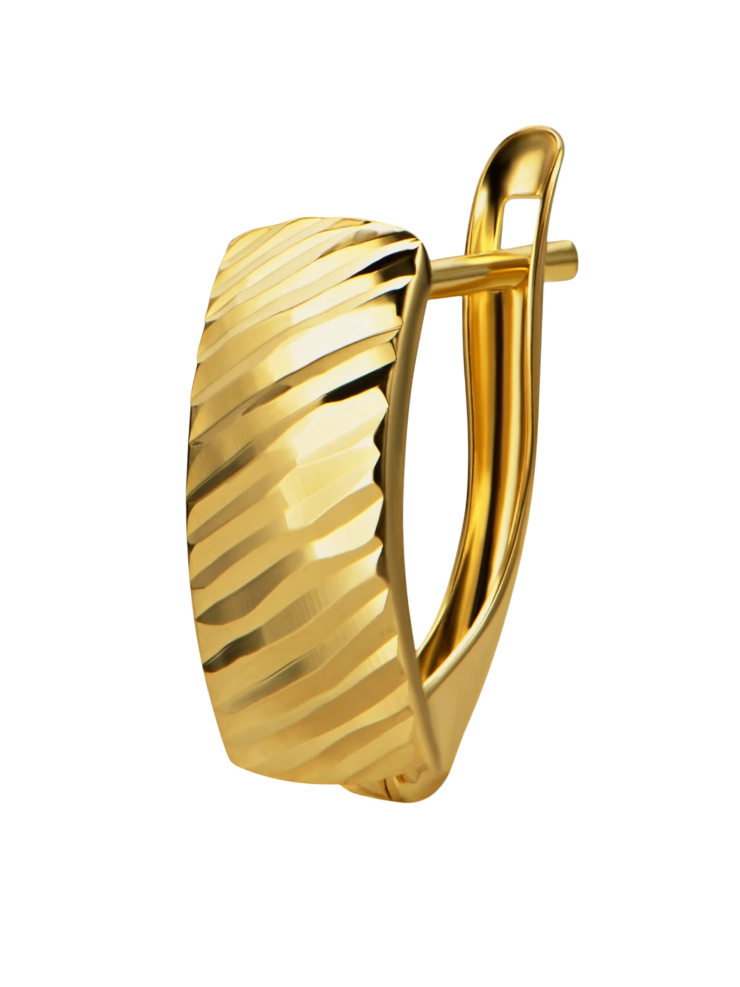 DIAMANT LETERNEL Earrings in Gold