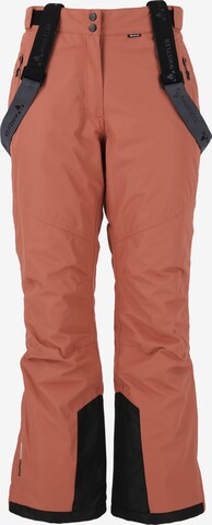 Whistler Regular Workout Pants 'Fairway' in Brown: front