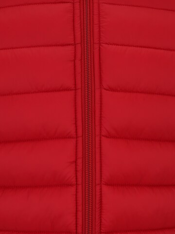 SAVE THE DUCK Winter Jacket 'Donald' in Red