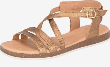 Apple of Eden Sandalen met riem ' IRINA ' in Brons: voorkant