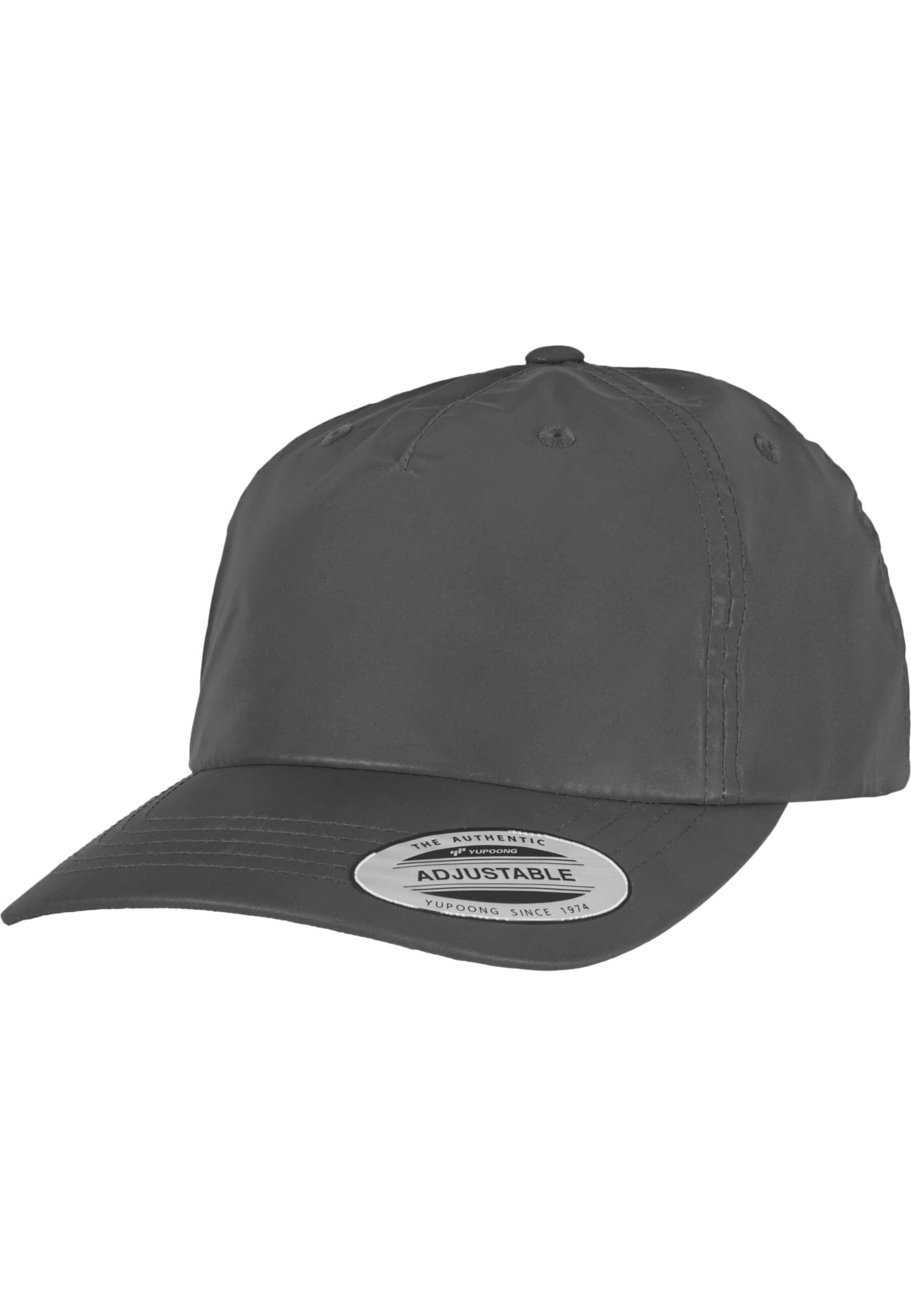 Flexfit Cap in Grey: front