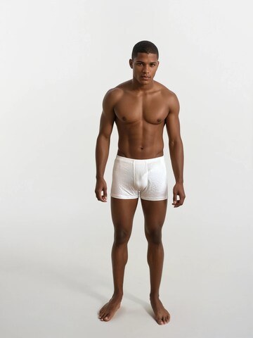 ZUBEK Boxershorts 'Silk' in Weiß