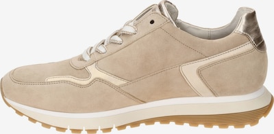 GABOR Schnürschuh in 40,5 in beige, Produktansicht