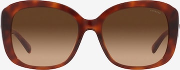 COACH Sunglasses in Brown