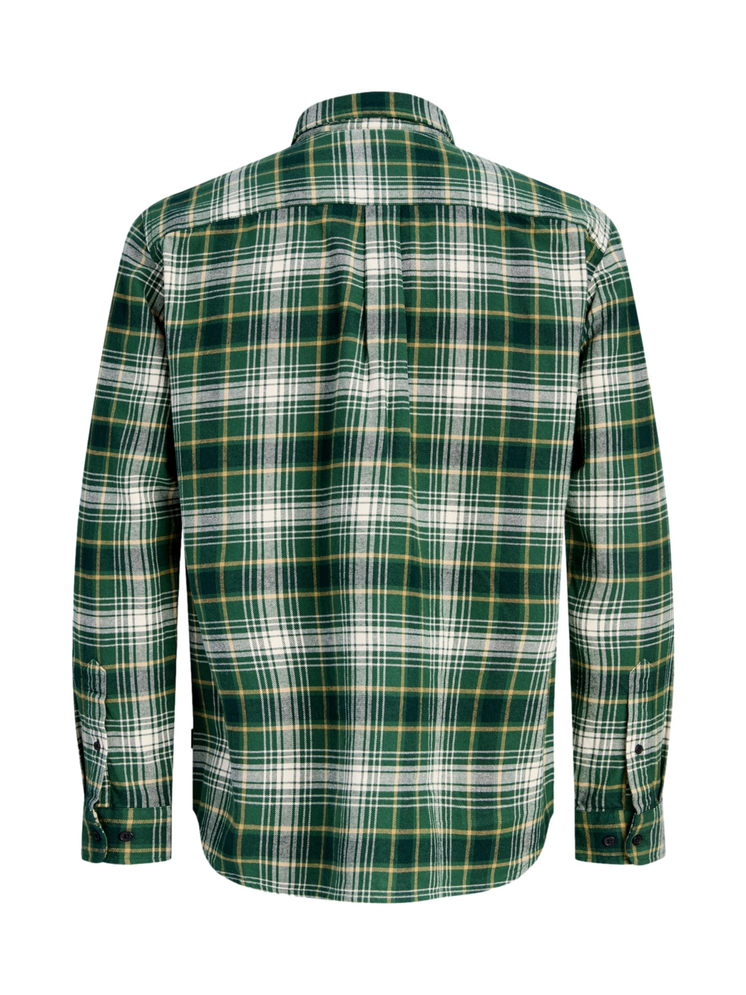 JACK & JONES Regular fit Overhemd 'JPRBluharvey' in Groen